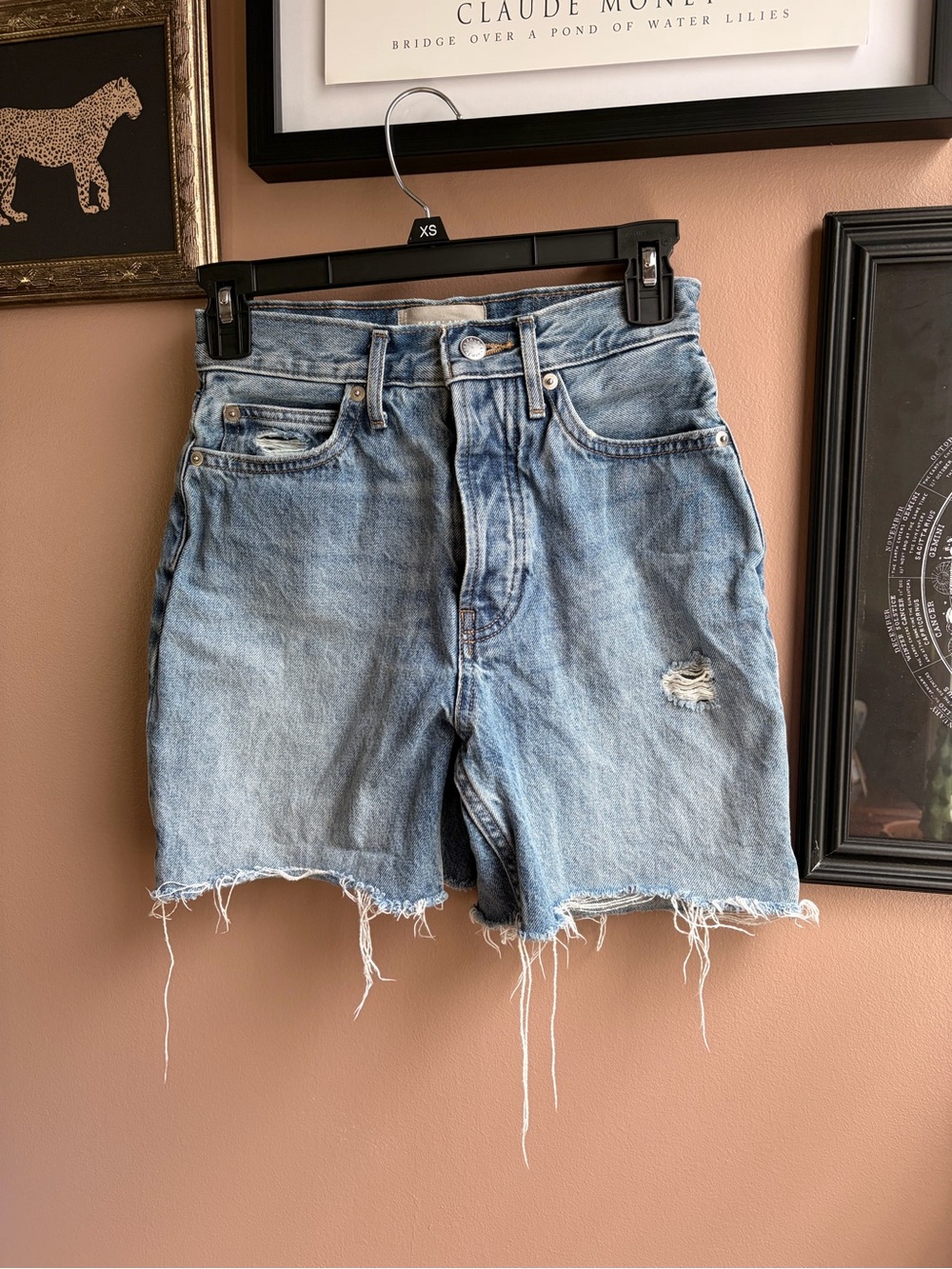 Everlane The Rigid Way-High Short